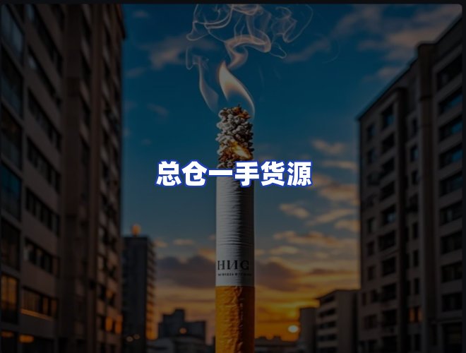 专业团队